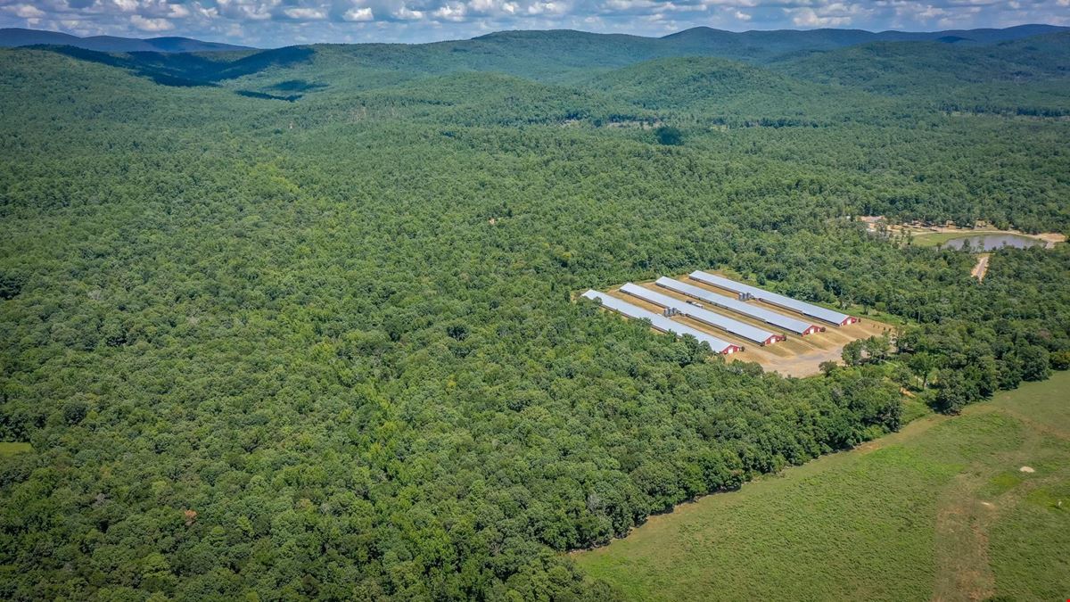 Mena AR Broiler Chicken Farm