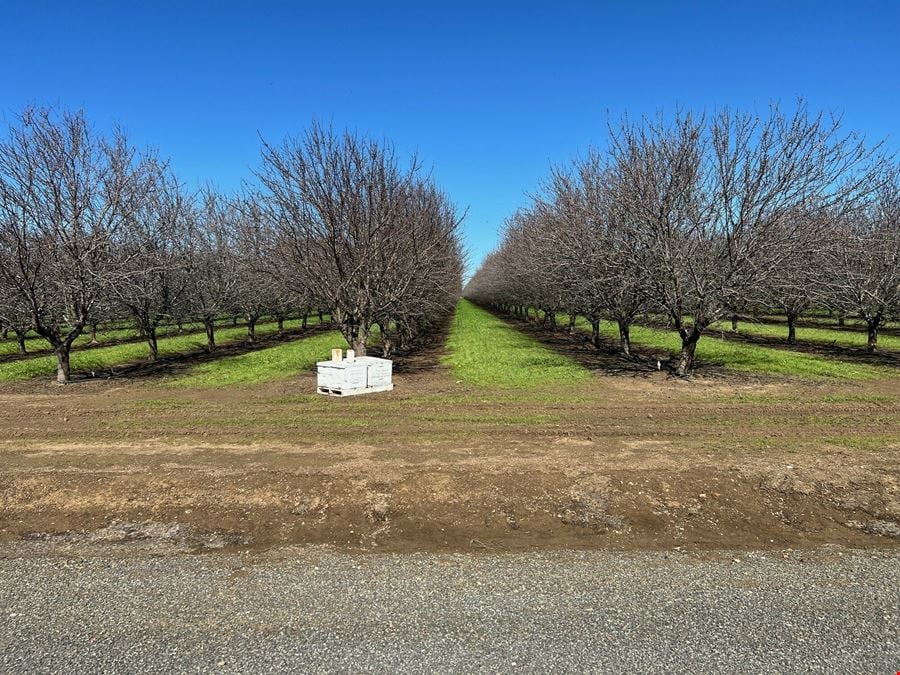 Jacobs Corner Almonds