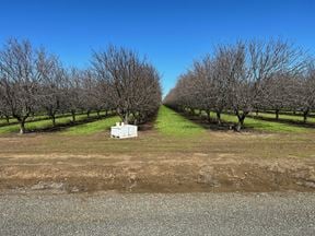 Jacobs Corner Almonds