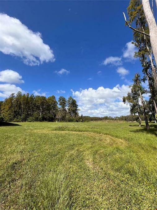 4.7 AC, Multi-Use Development Site, Directly on Van Dyke Rd, Lutz