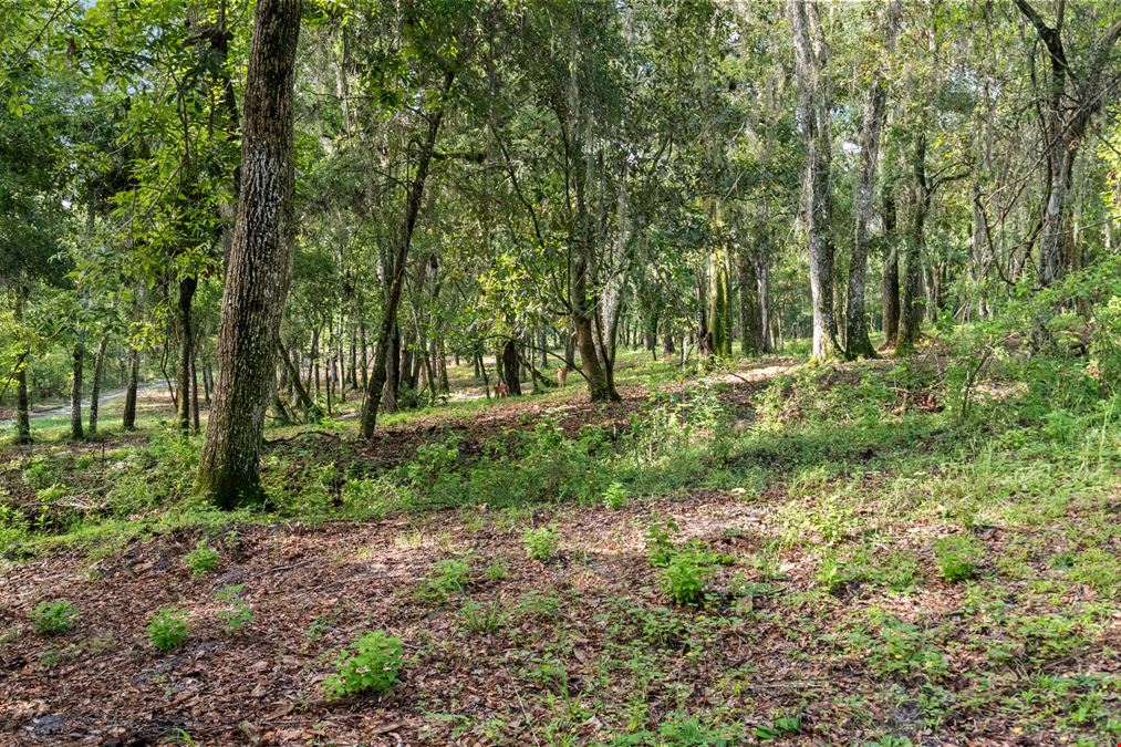 Brooksville 12 Acre Tract
