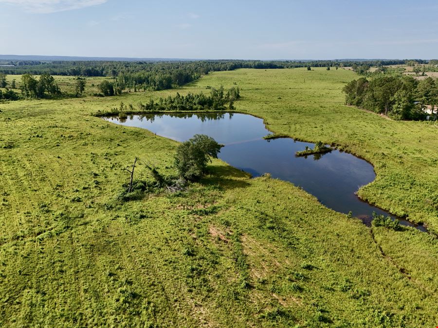 10 Shy Ranch and Timber