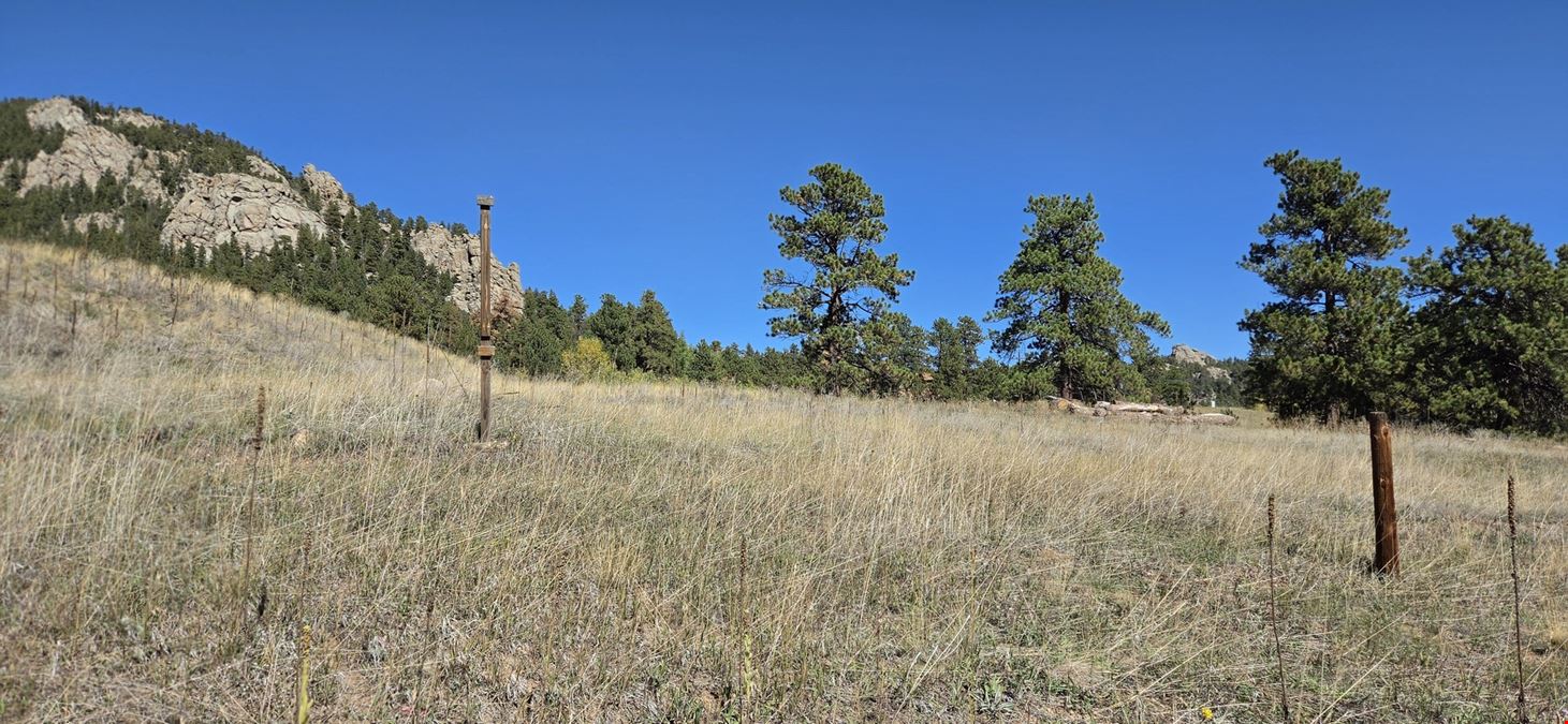 TBD Conifer Road