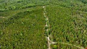 Timber Ridge Farm - Timberland Package