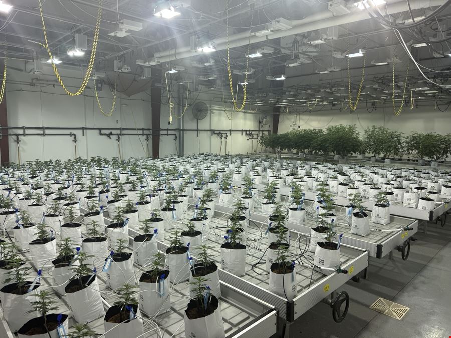 Clare - Operating Cultivation/Processing Facility