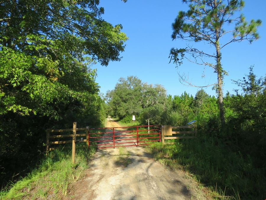 Interlachen Timber and Conservation Tract