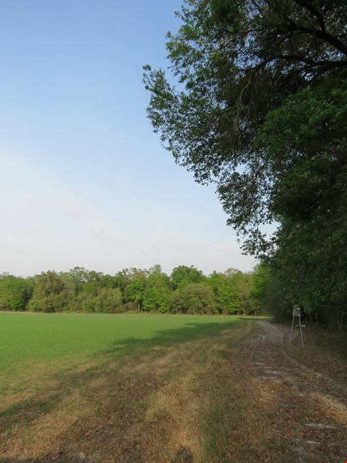 Suwannee County Farm