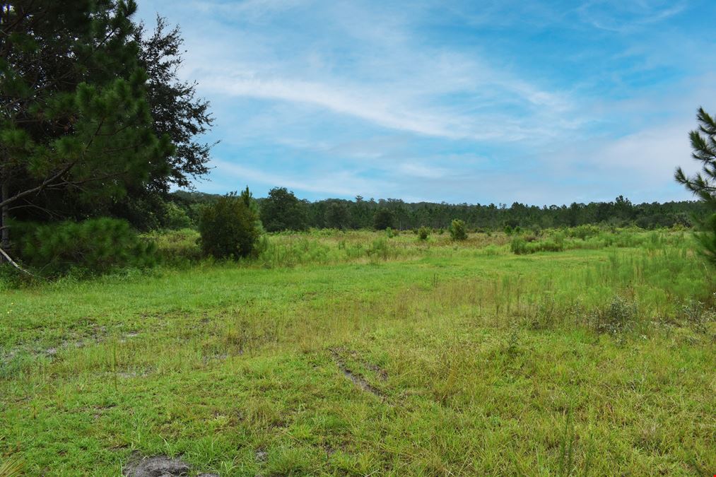 Flagler County Land Investment and Recreational Tract