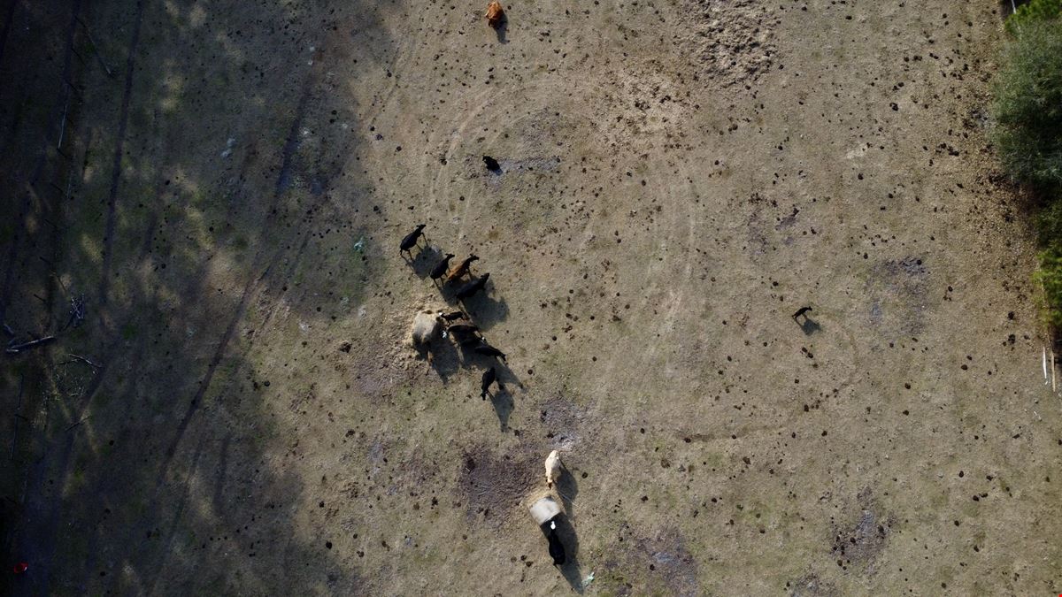 29 Acres in Horse Country