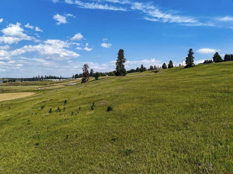 151 Barkley Ridge Trail
