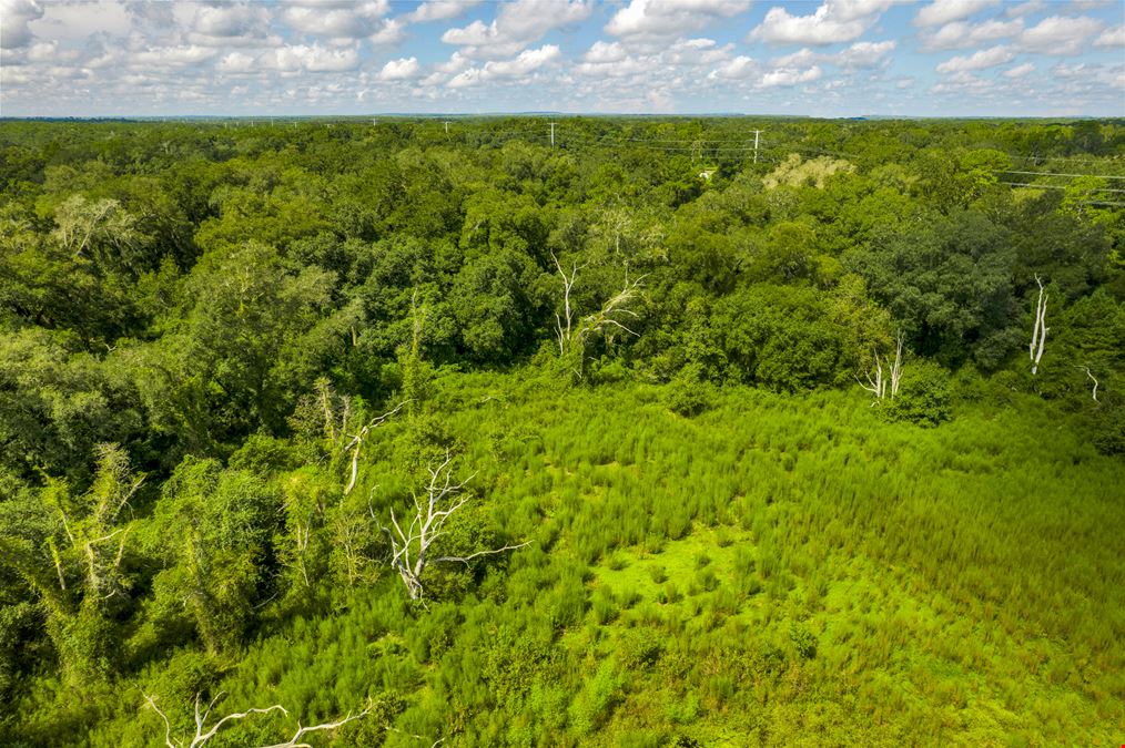 48.54 Acres on I-75