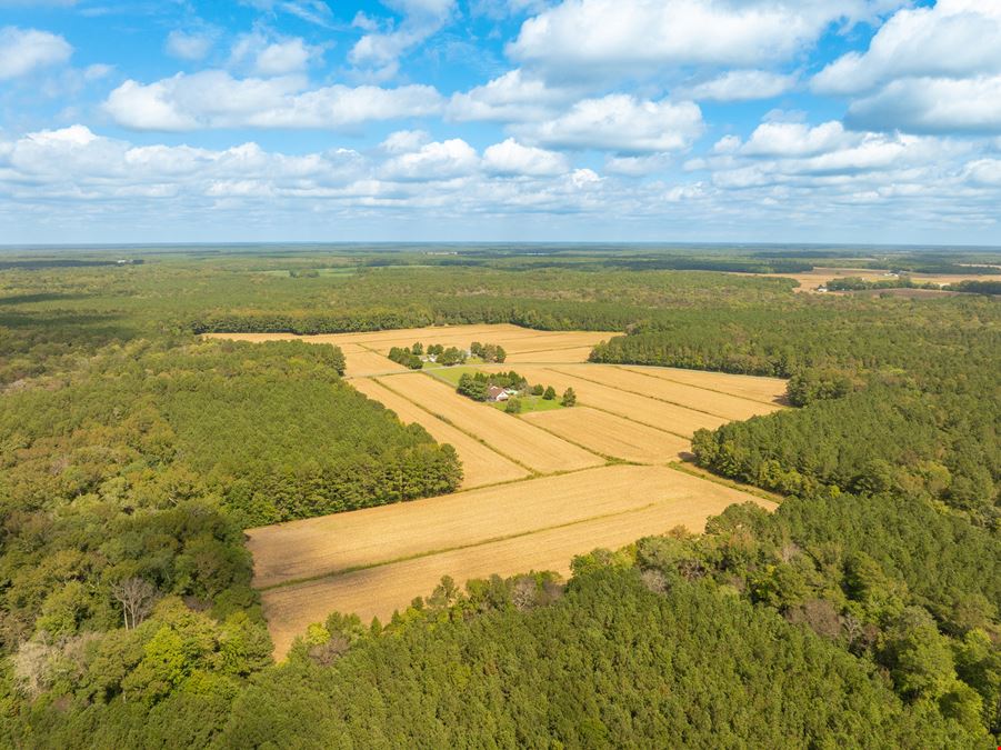 Riley Farm - 109.47 Acres of Ag Land