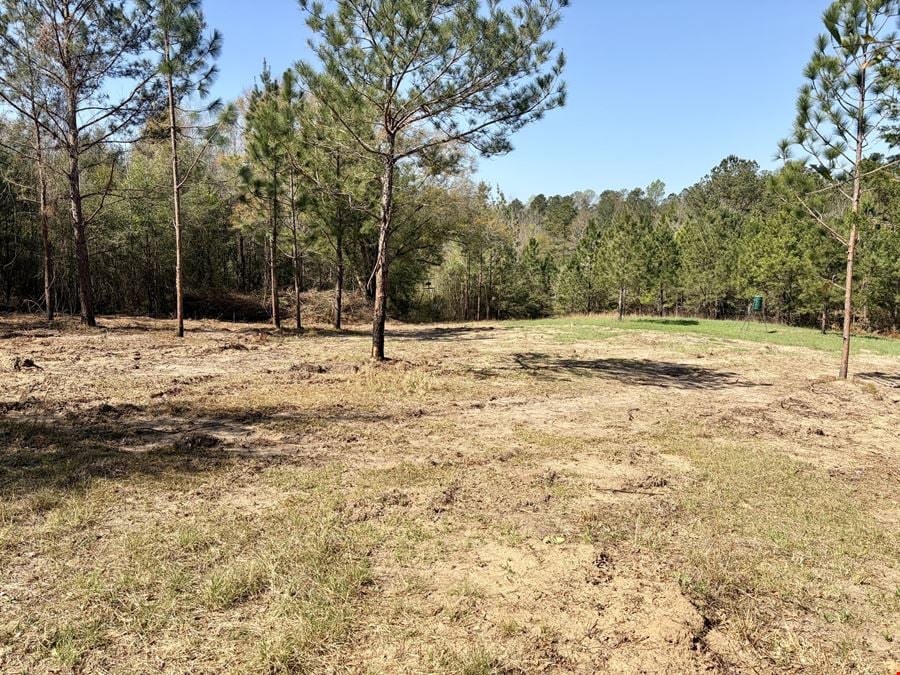 Sawyer Lane Hunting and Timber Tract