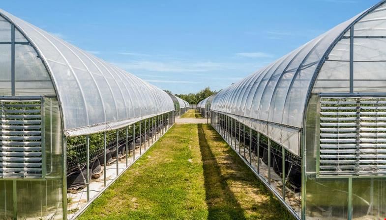 Breedsville - Former Operating/Turnkey Greenhouse Cultivation Site
