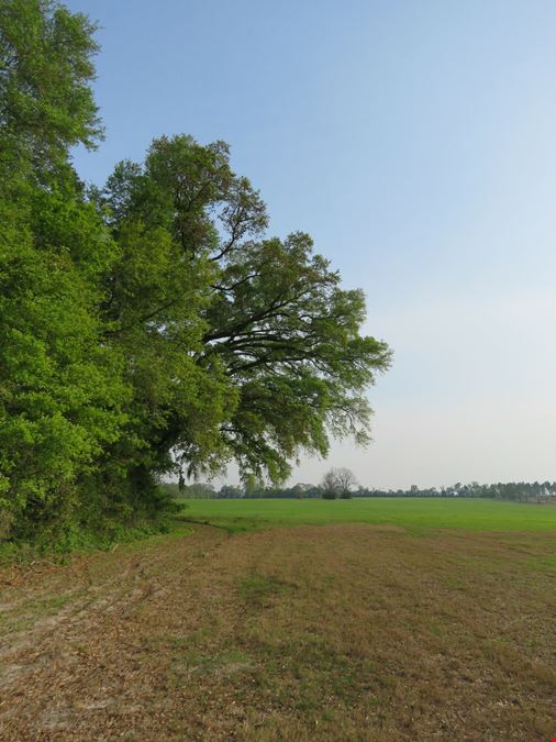 Suwannee County Farm