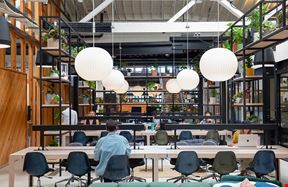 Kiln - Portland
