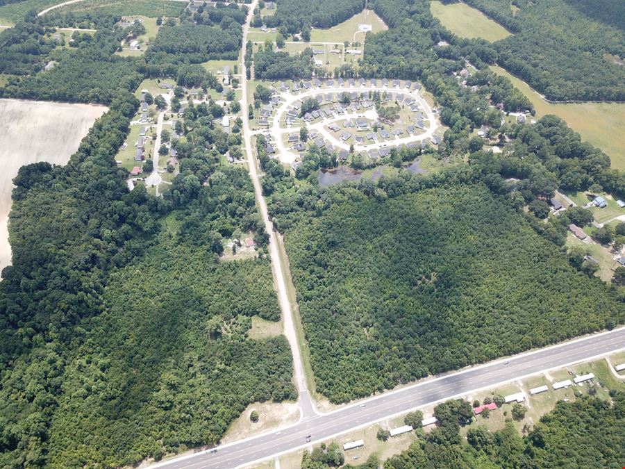 Alligator Rd