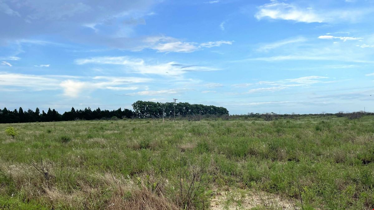 Lake Bella Road Transitional Land