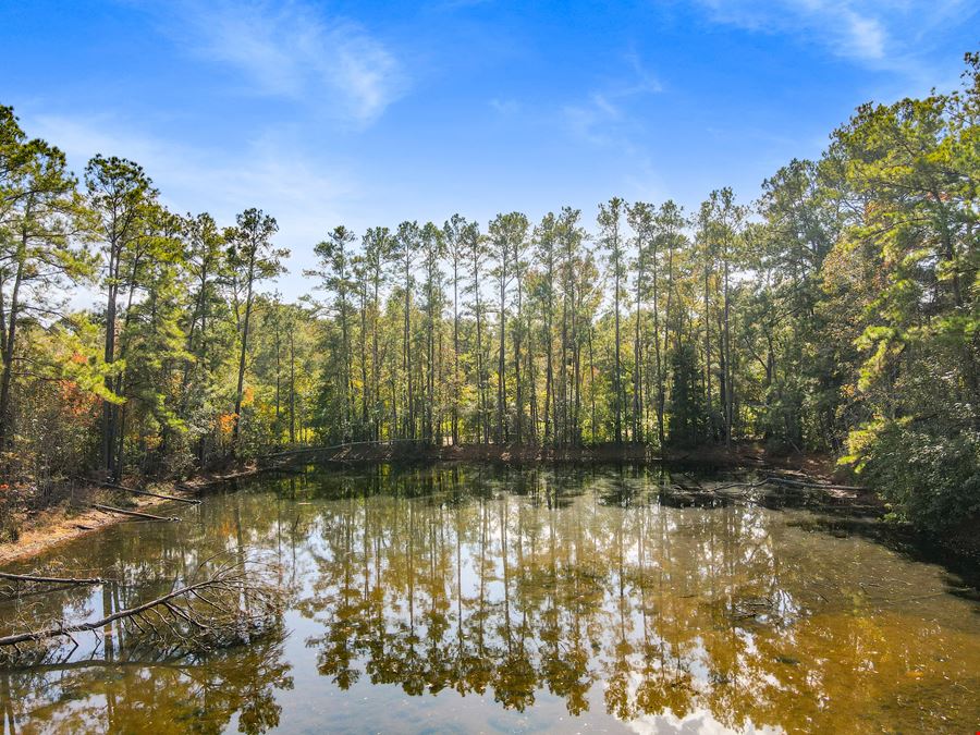 Prime 2-Acre Commercial/Residential Opportunity | Conroe, TX 77306