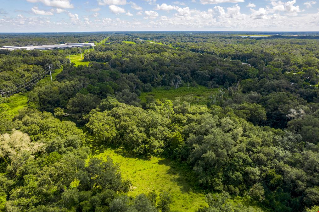 48.54 Acres on I-75