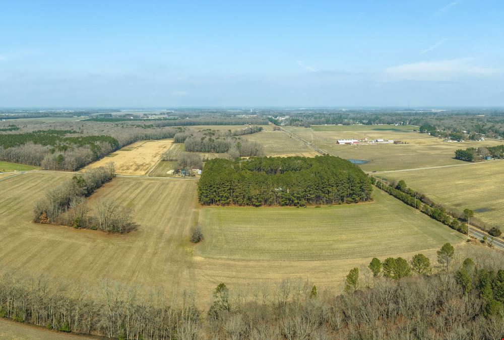 Delmar Agricultural 35.88+/- Acres