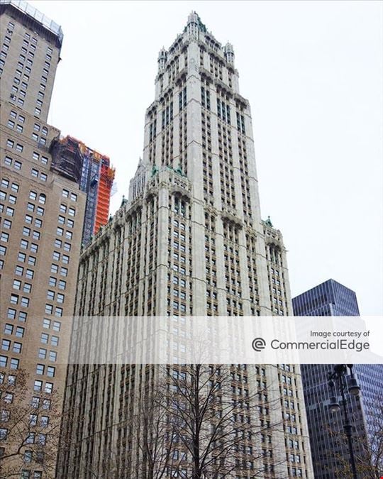 The Woolworth Building