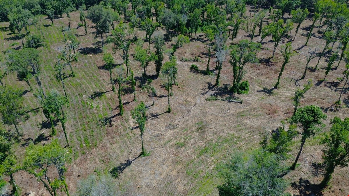 39 +/- Acres in Horse Country