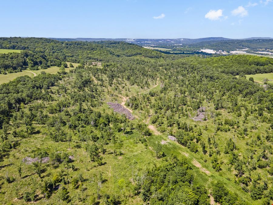 Letitia Lane - Greenland Acreage