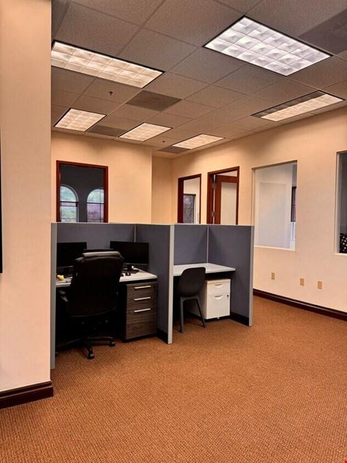 Professional Office
