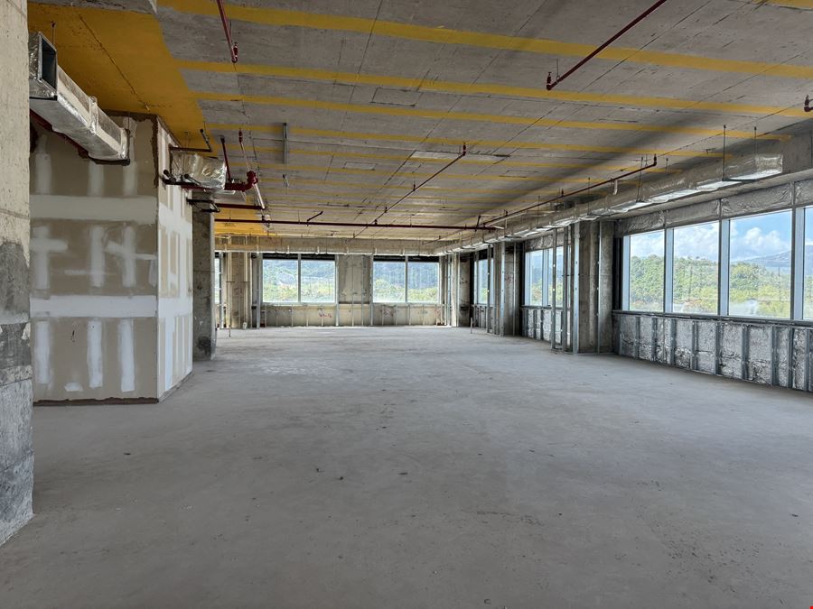 Caguas Office Space @ Hima Plaza 1 Condominium - For Sale