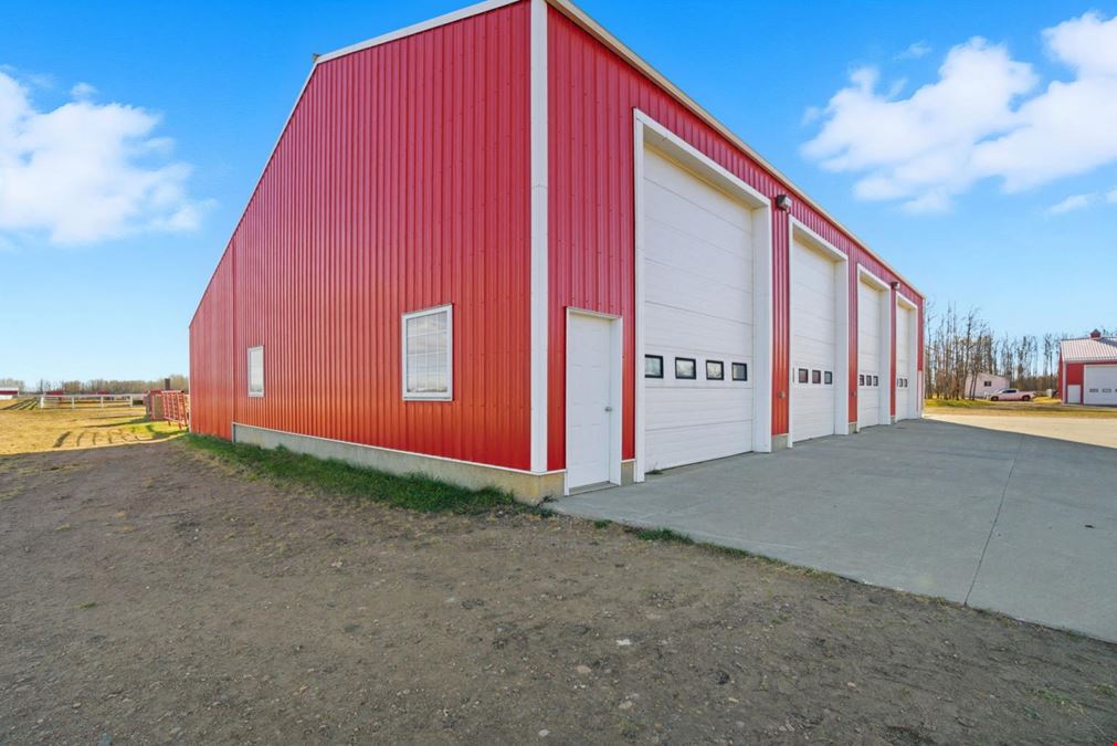 World-Class Equestrian in Central Alberta (Canada)