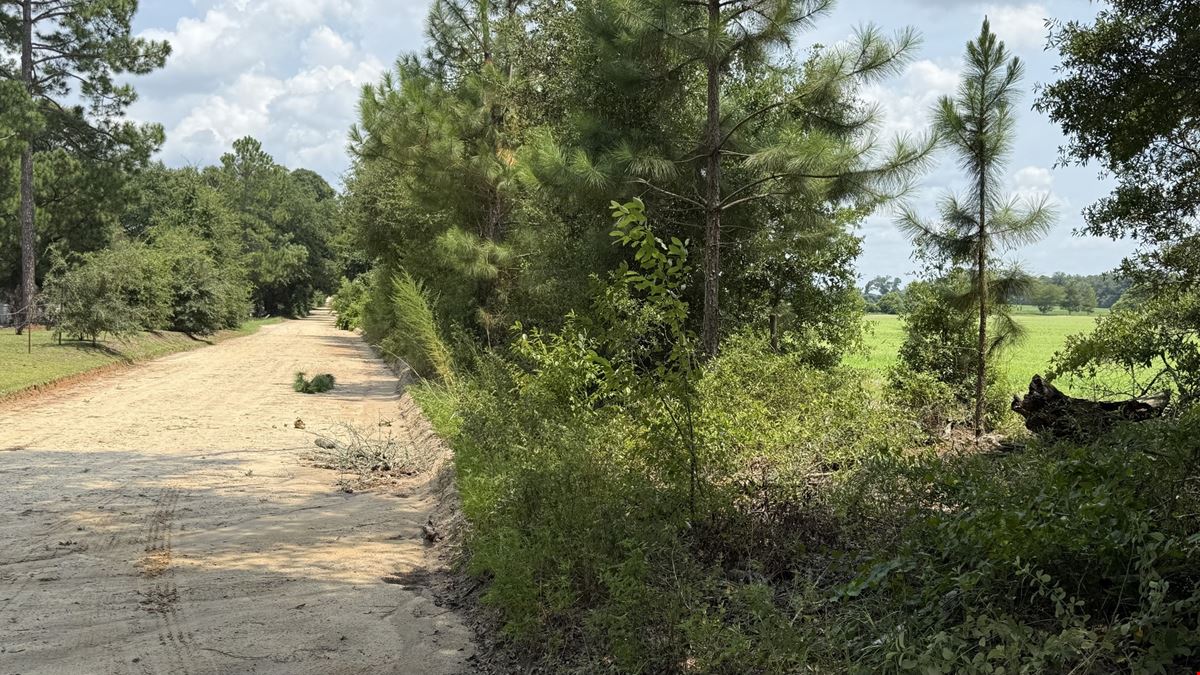 19± Acres in Bascom, FL – Ideal Homesite or Hobby Farm