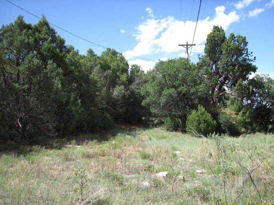 10433 State Highway 337