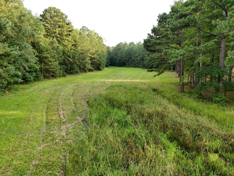 The Bull's Pen