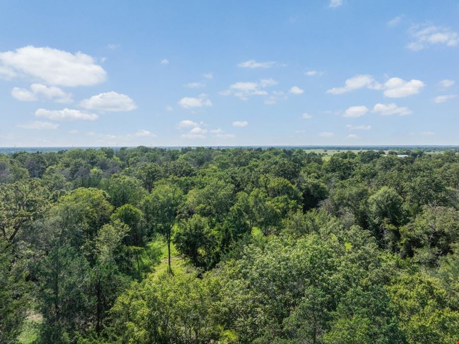 16135 Wilson Pasture Road