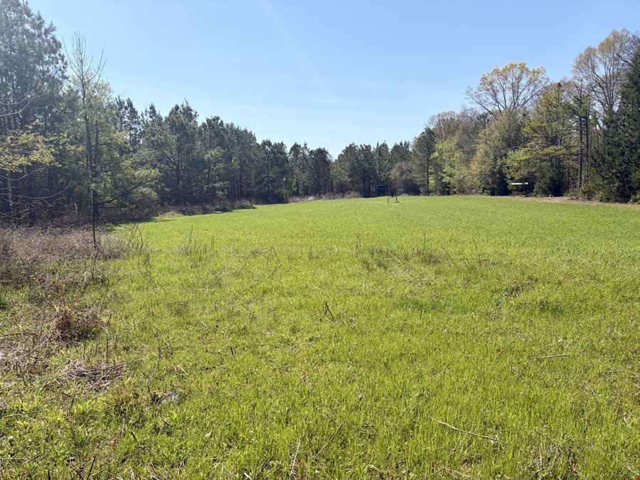 Sawyer Lane Hunting and Timber Tract
