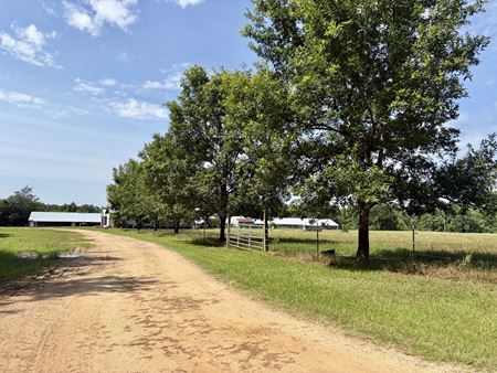Preview of VacantLand space for Sale at 897 South Butler Springs Road