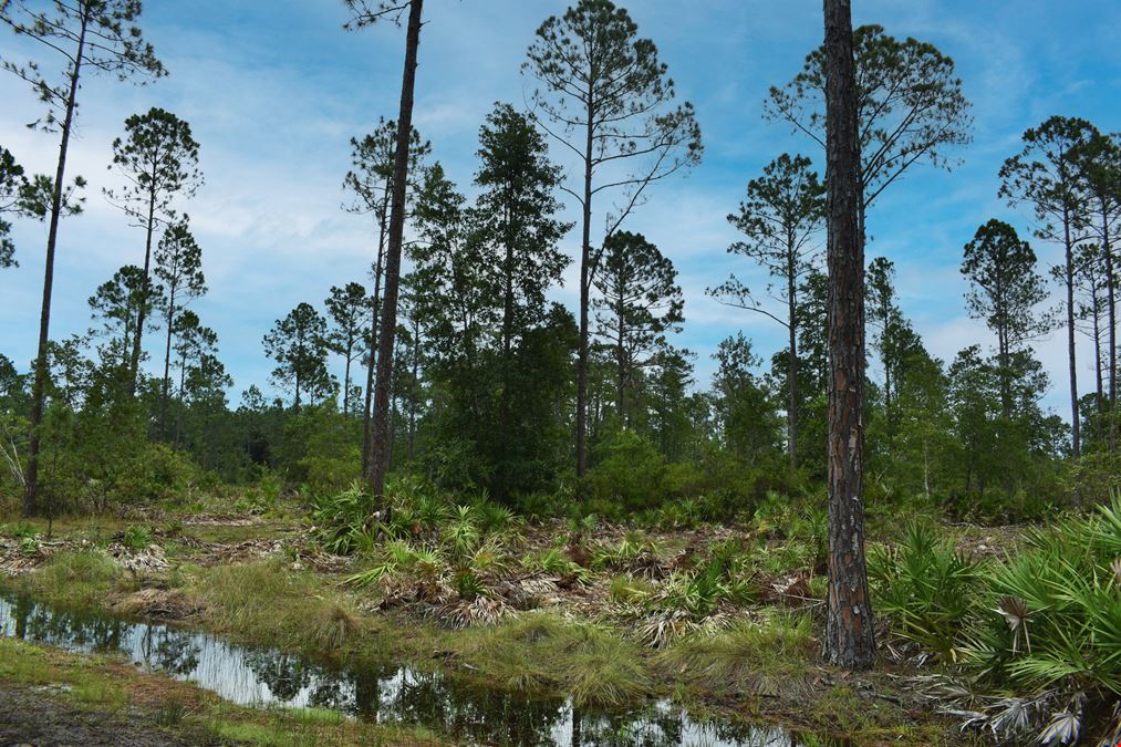 Flagler County Land Investment and Recreational Tract