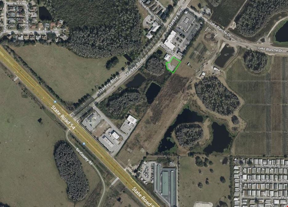 Pad Ready Vacant Land in Trinity