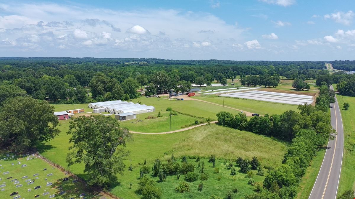 +/- 14.1 ac. Flora, MS
