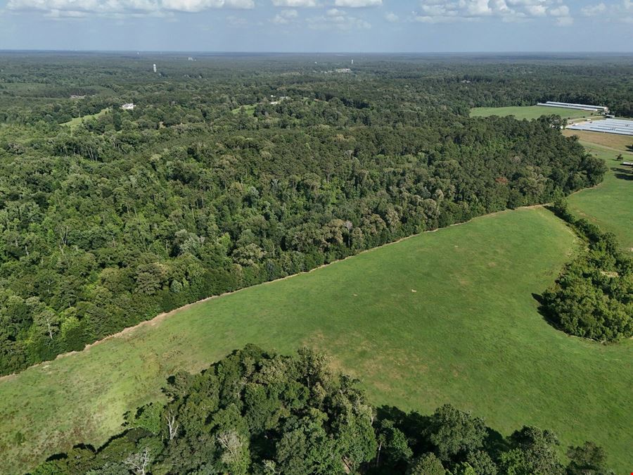 Residential Development Opportunity