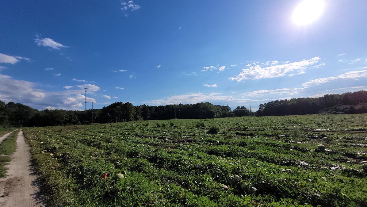 9.51 Acre Parcel off American Legion Road