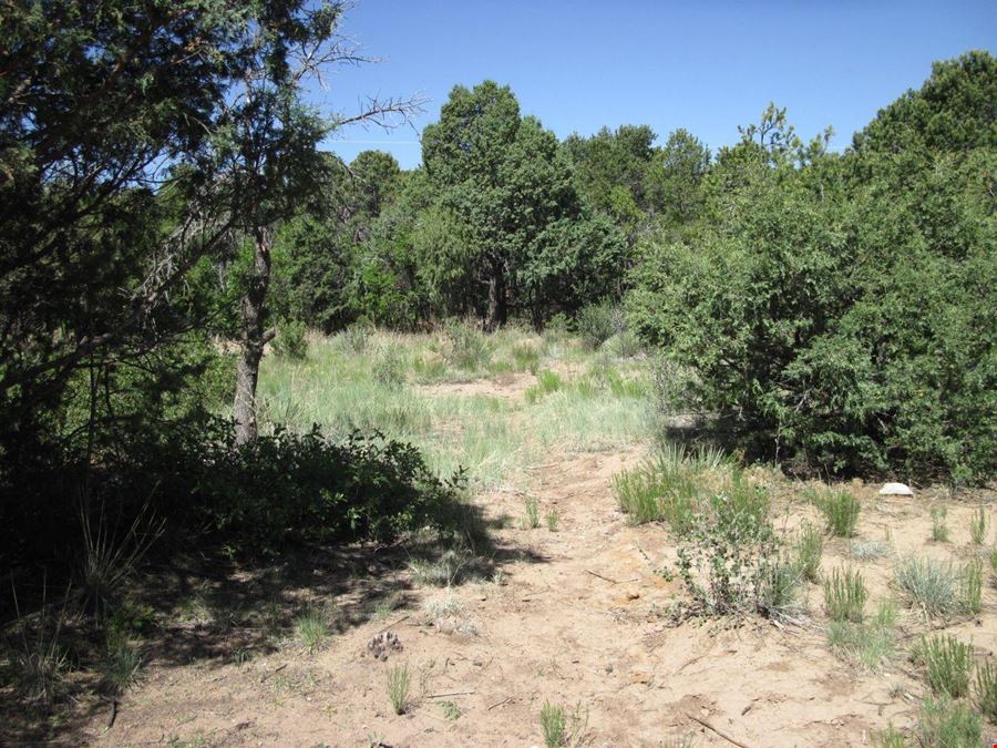 16 Roadrunner Rd