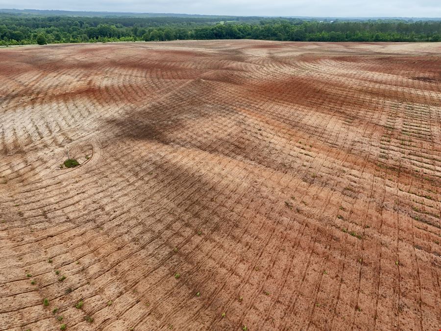 County Line Pasture Land