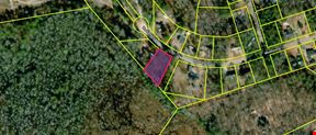 HALF AC MHP LAND HOME SALE CAPACITY OR WORKFORCE HOUSING MULTIFAMILY UTILIZATION - Lexington County, SC