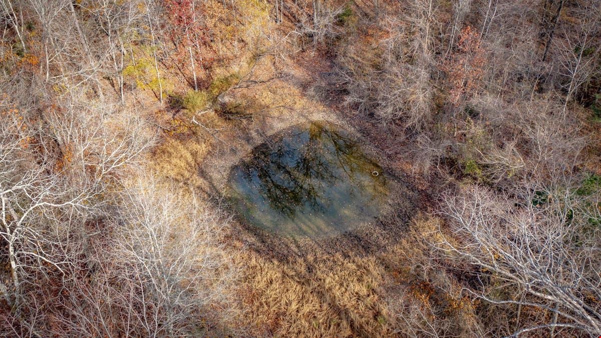 Mountain Pine Development Land