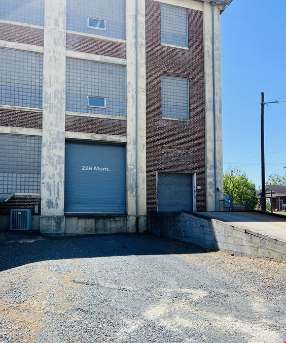 229 Montgomery Avenue