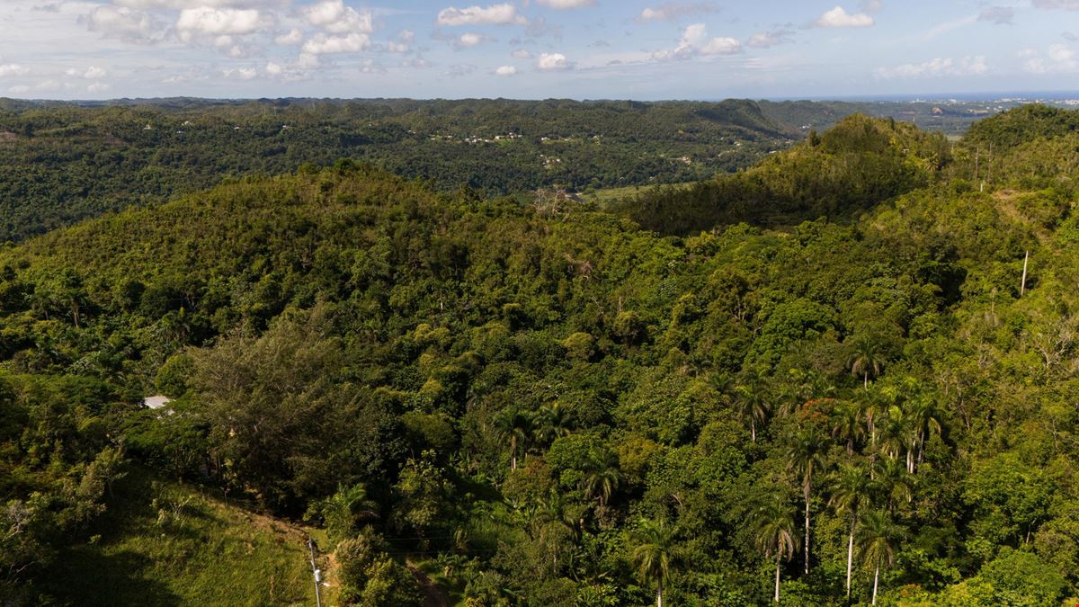 Arecibo Vacant Land @ Arrozal Ward - For Sale