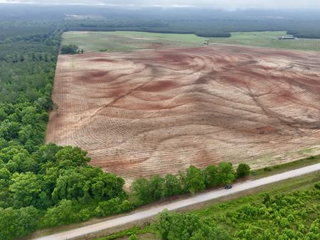 Preview of VacantLand space for Sale at 0 County Road 75