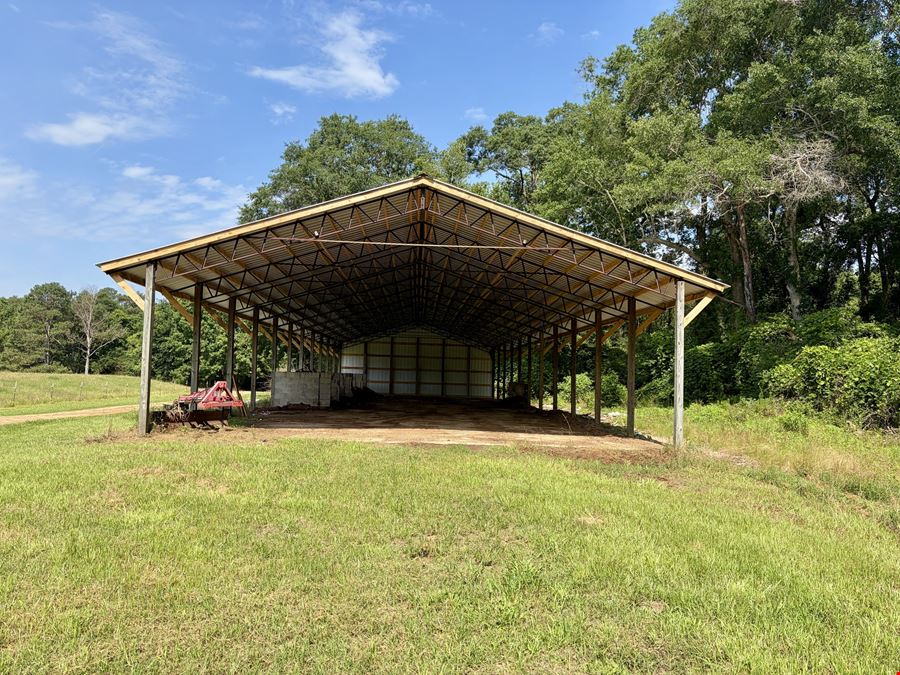 South Butler Springs Mini Farm